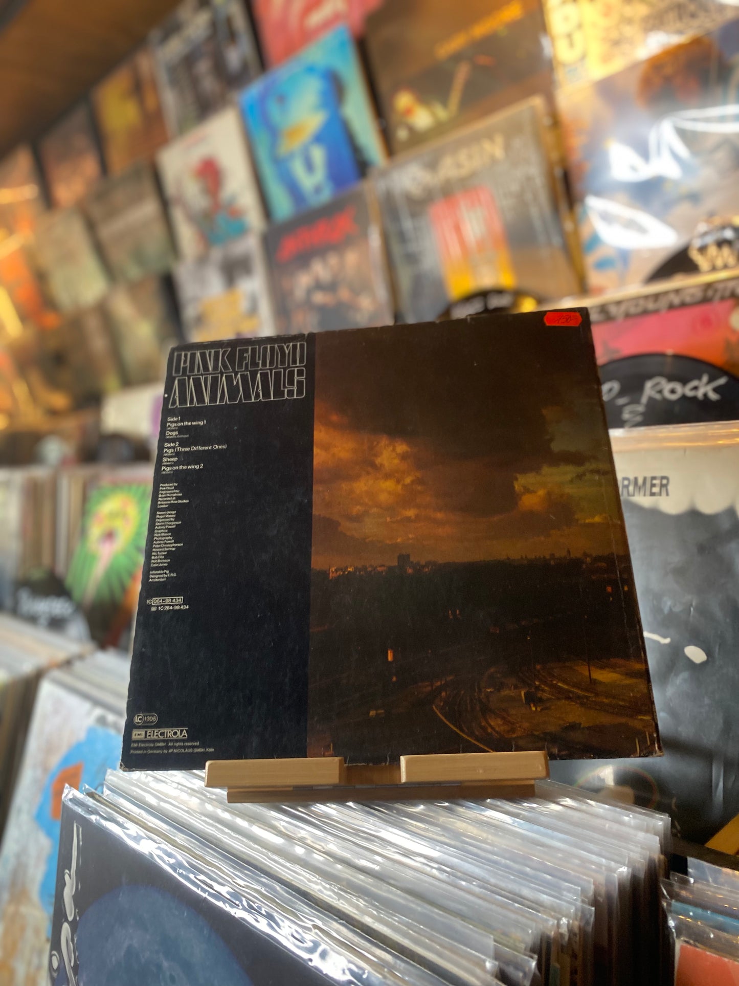 Pink Floyd - Animals / LP, Album, Gat (GER 1977)