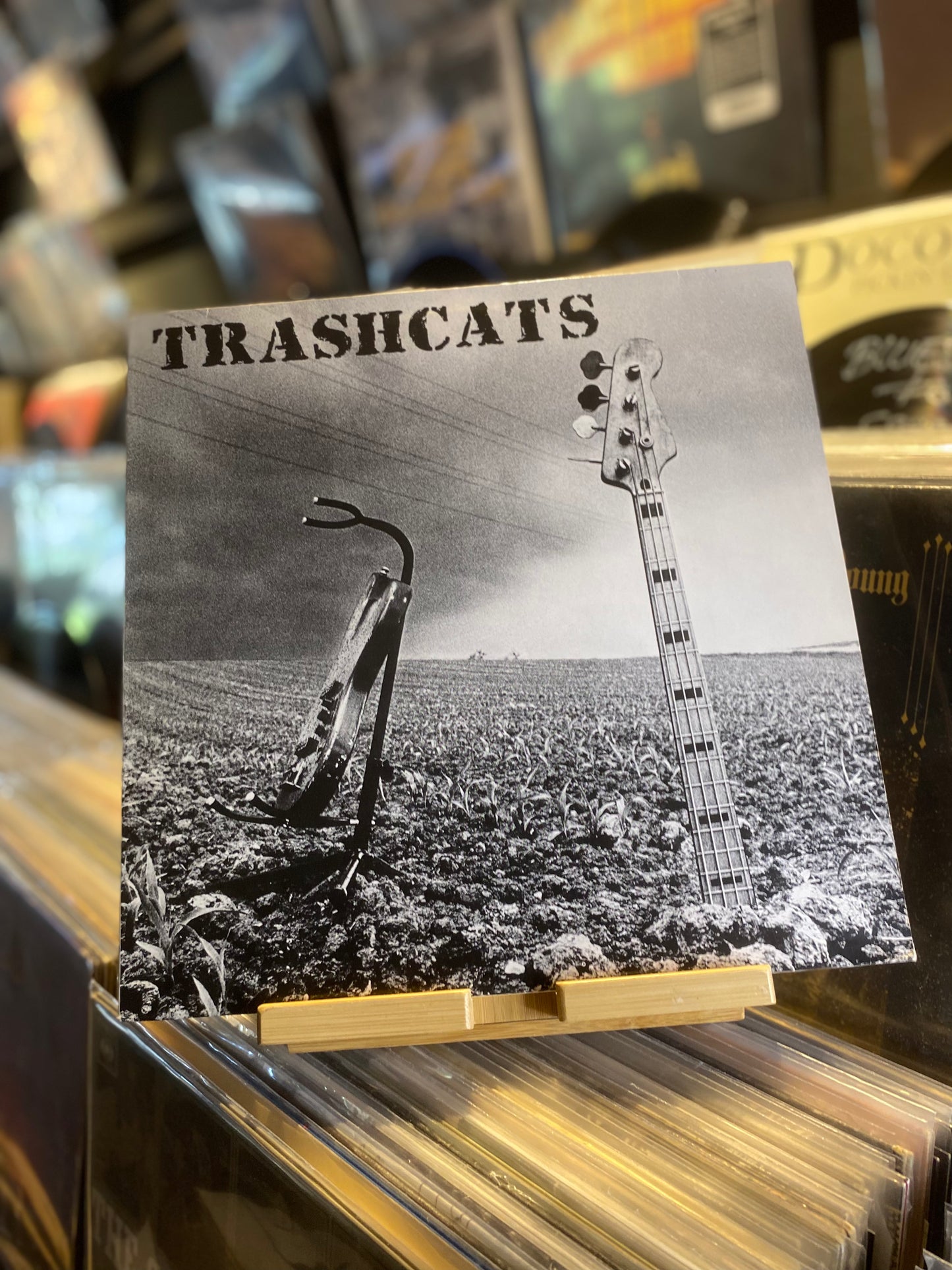 TRASHCATS  – TAKE THIS TRAIN...OG SUI...VG+/EX