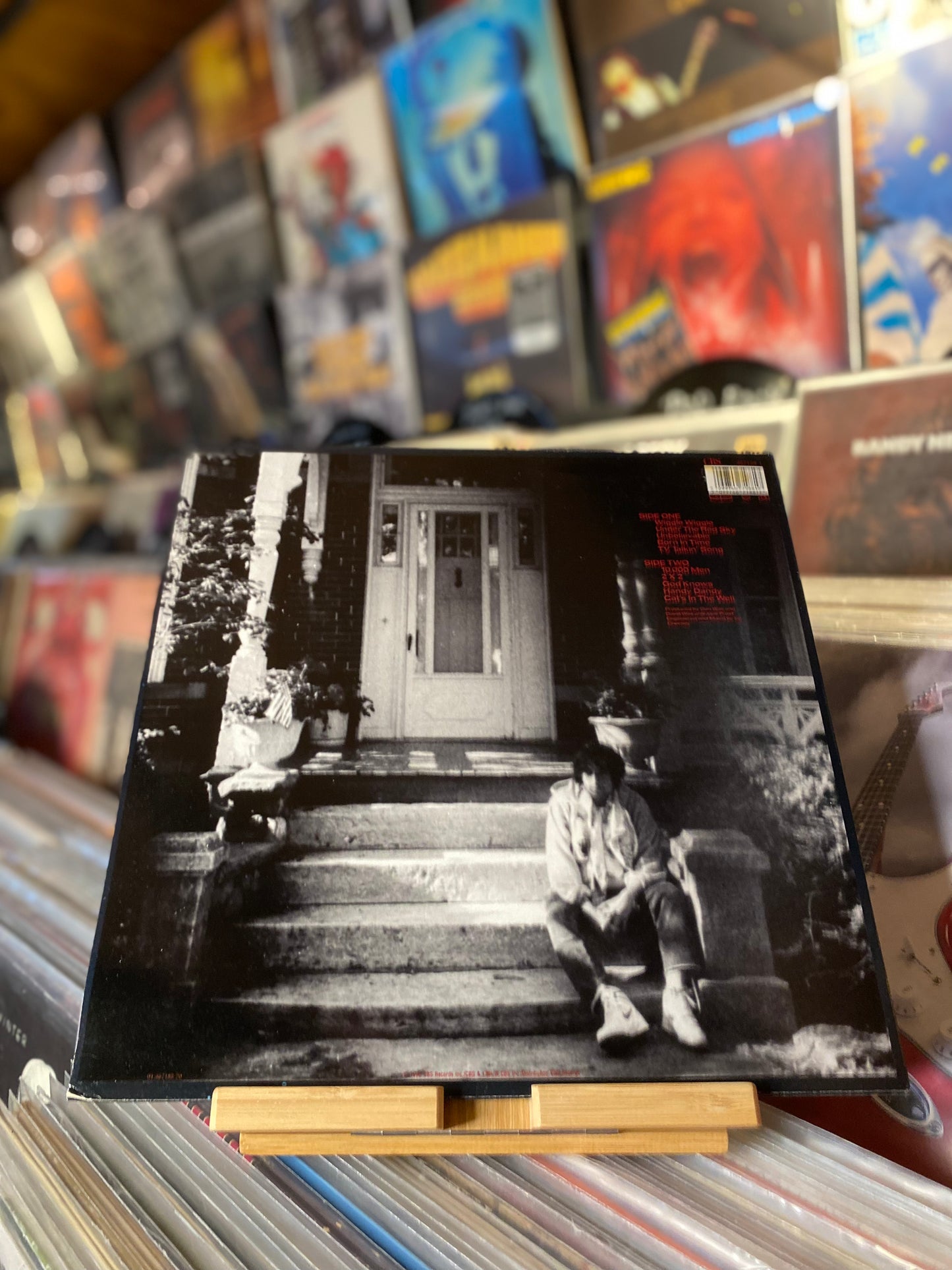 BOB DYLAN - UNDER THE RED SKY / LP, ALBUM, RE (1991)