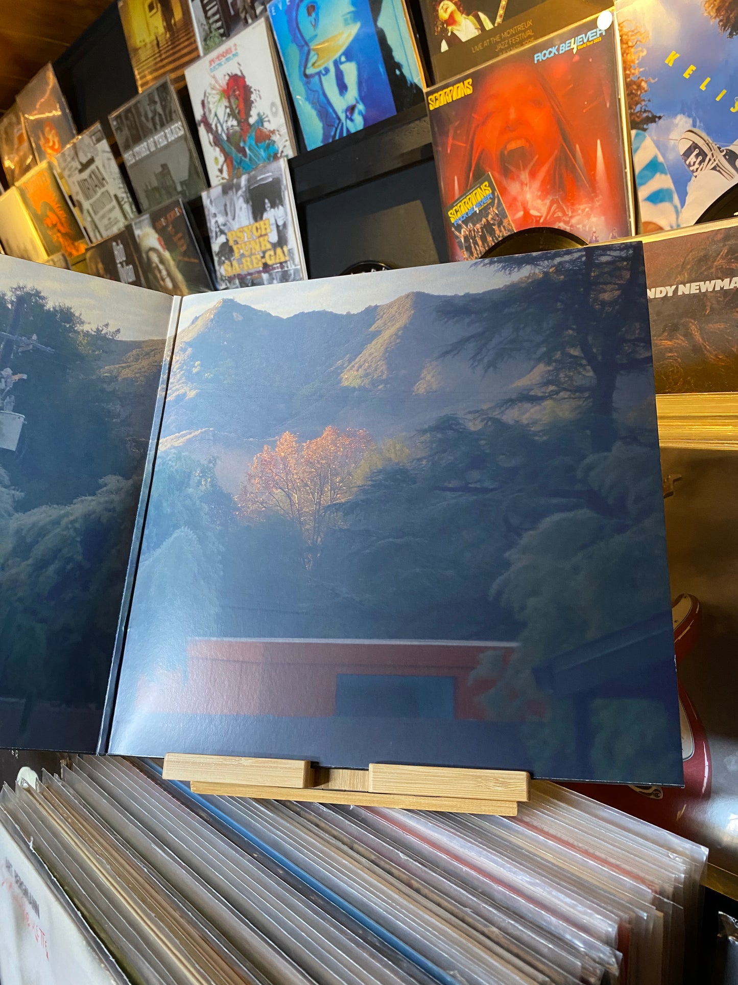 BIRDY - YOUNG HEART / DLP GATEFOLD (WORLDWIDE 2021)