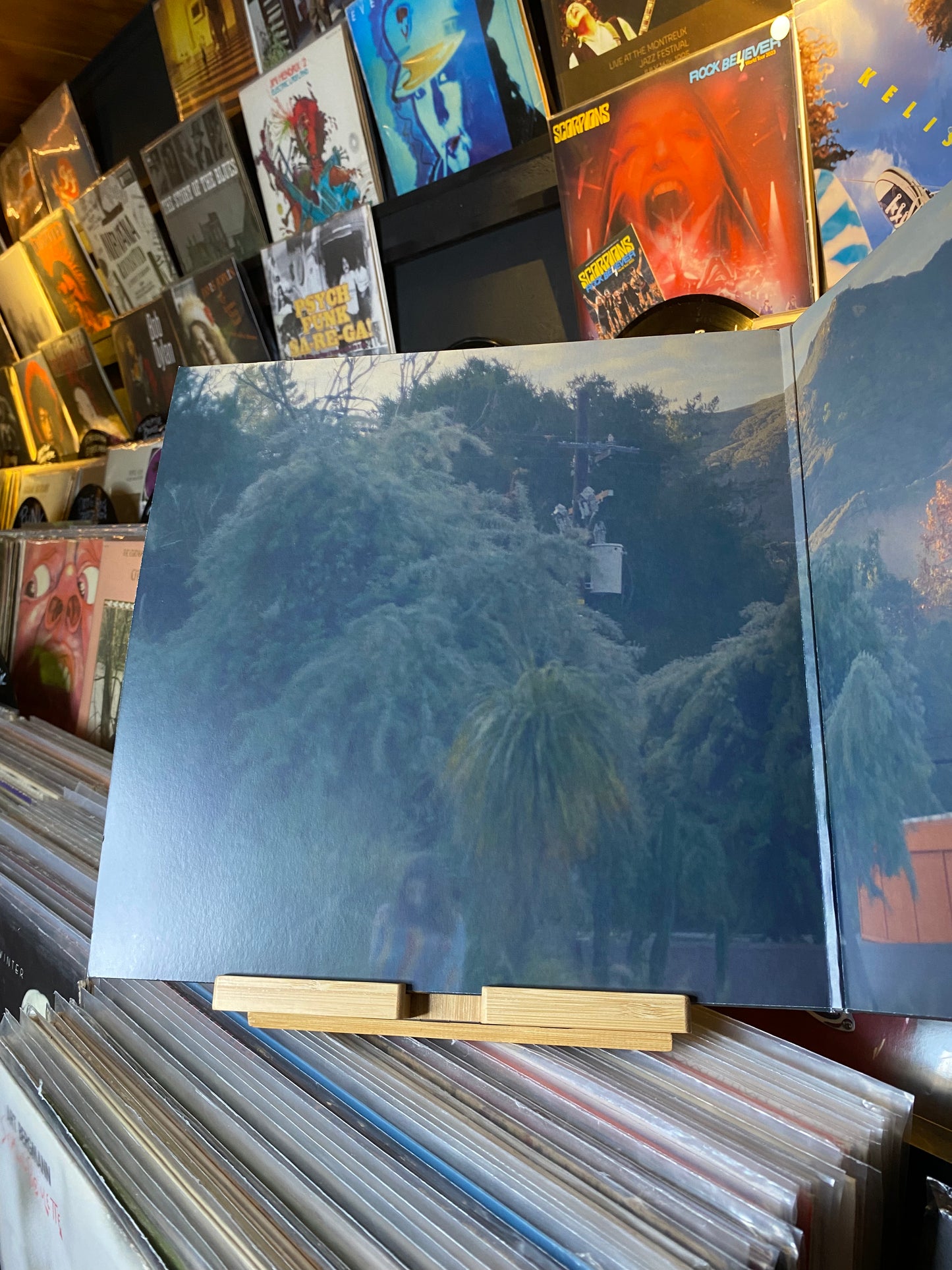 BIRDY - YOUNG HEART / DLP GATEFOLD (WORLDWIDE 2021)