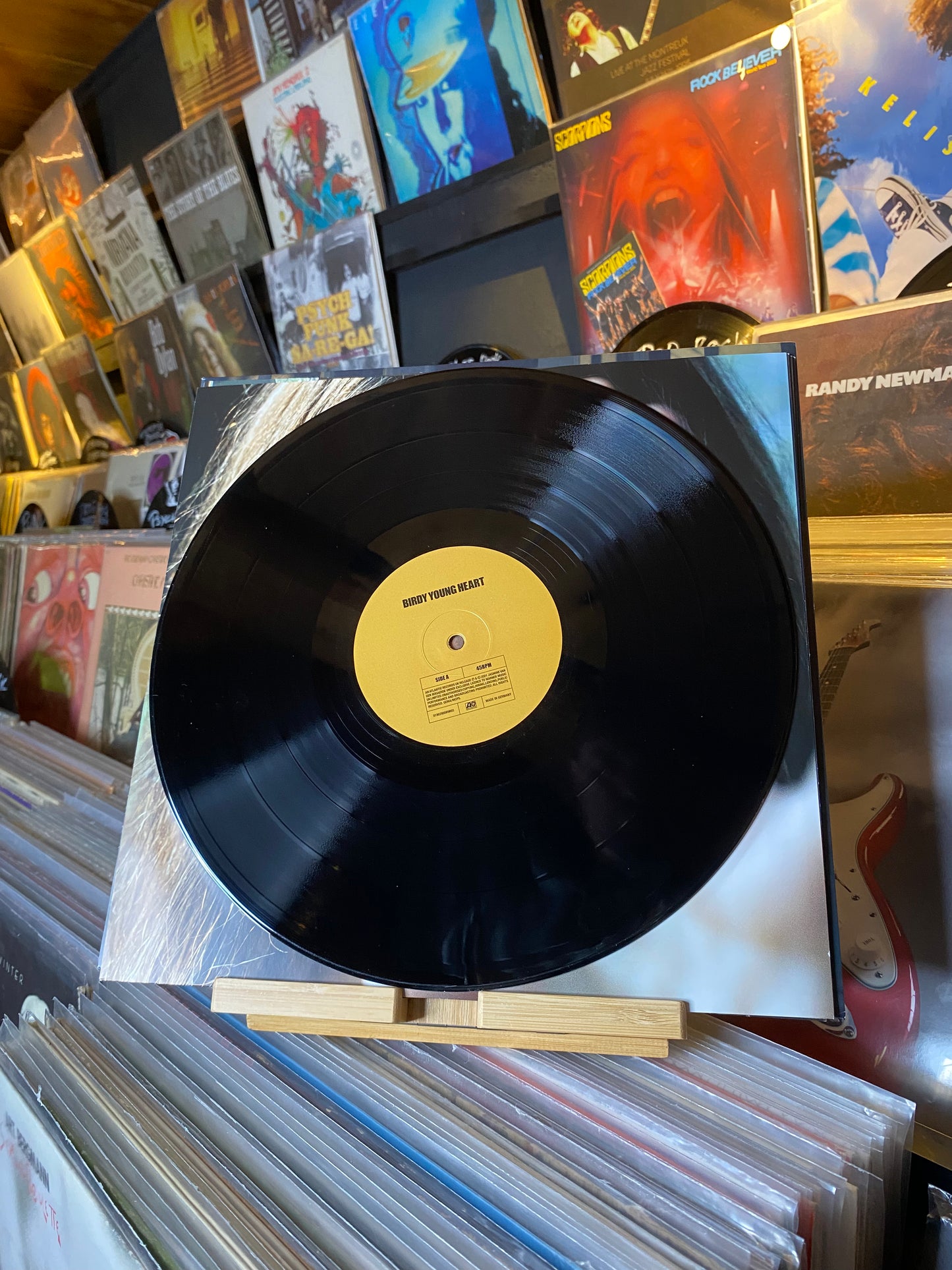 BIRDY - YOUNG HEART / DLP GATEFOLD (WORLDWIDE 2021)
