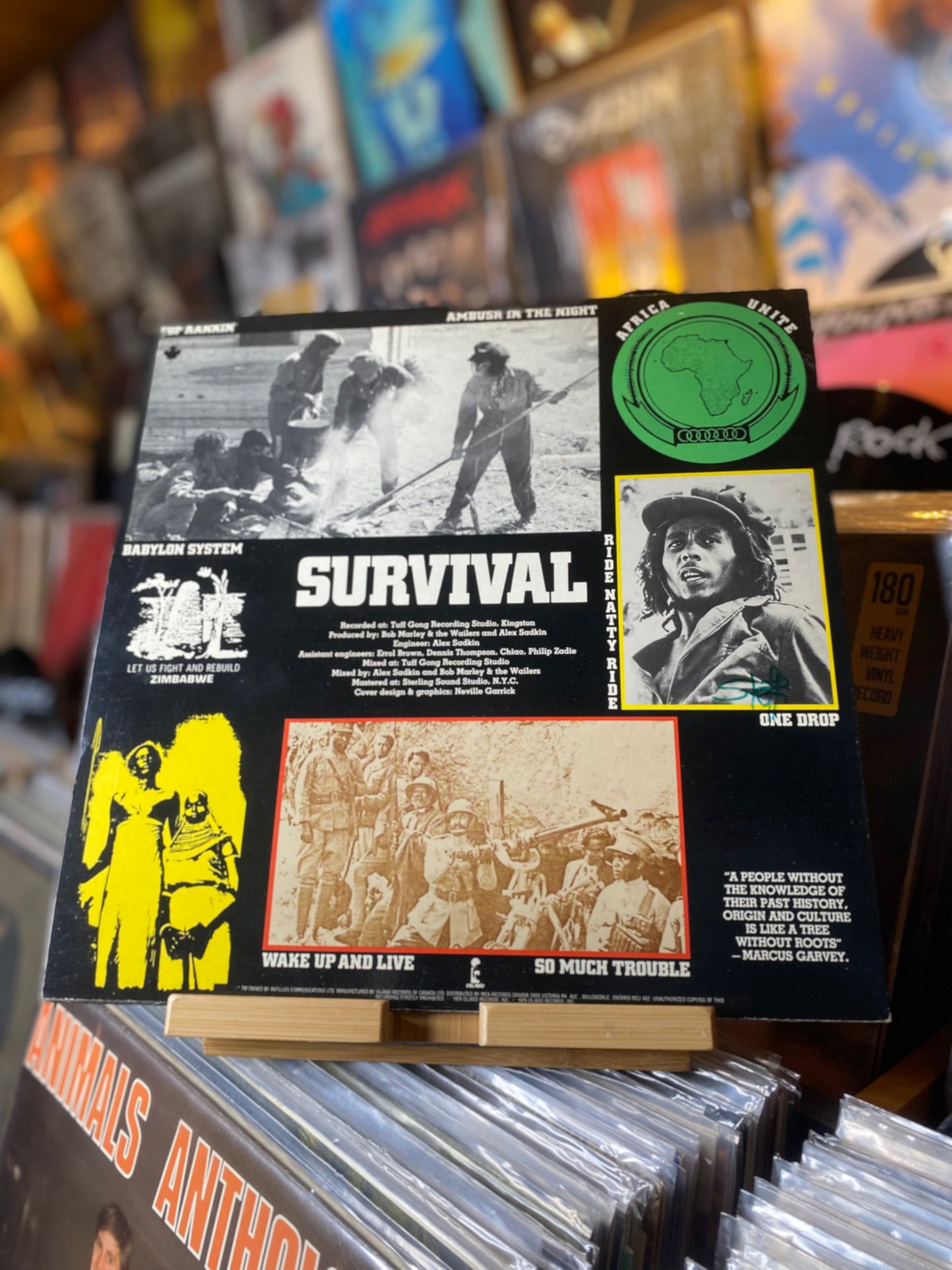 BOB MARLEY & THE WAILERS - SURVIVAL / LP, ALBUM, RE