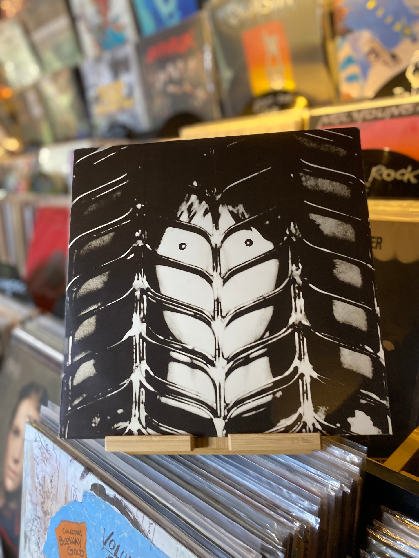 CHRIS SQUIRE - FISH OUT OF WATER / LP, ALBUM, GAT (GER 1975)