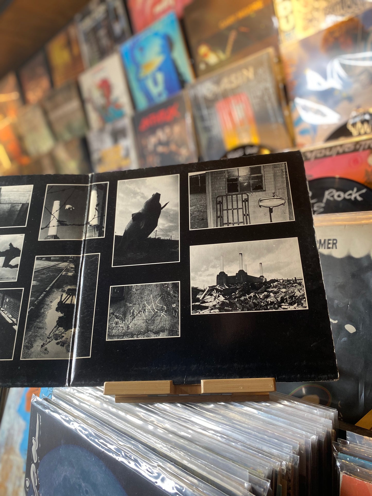 Pink Floyd - Animals / LP, Album, Gat (GER 1977)