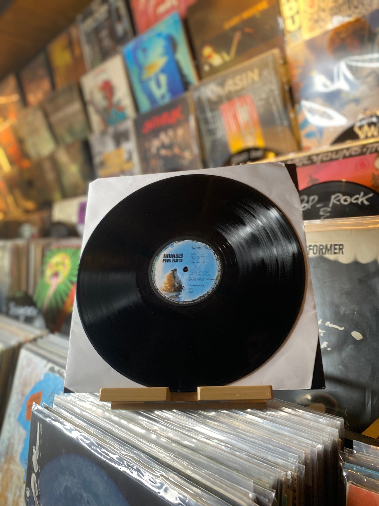 Pink Floyd - Animals / LP, Album, Gat (GER 1977)