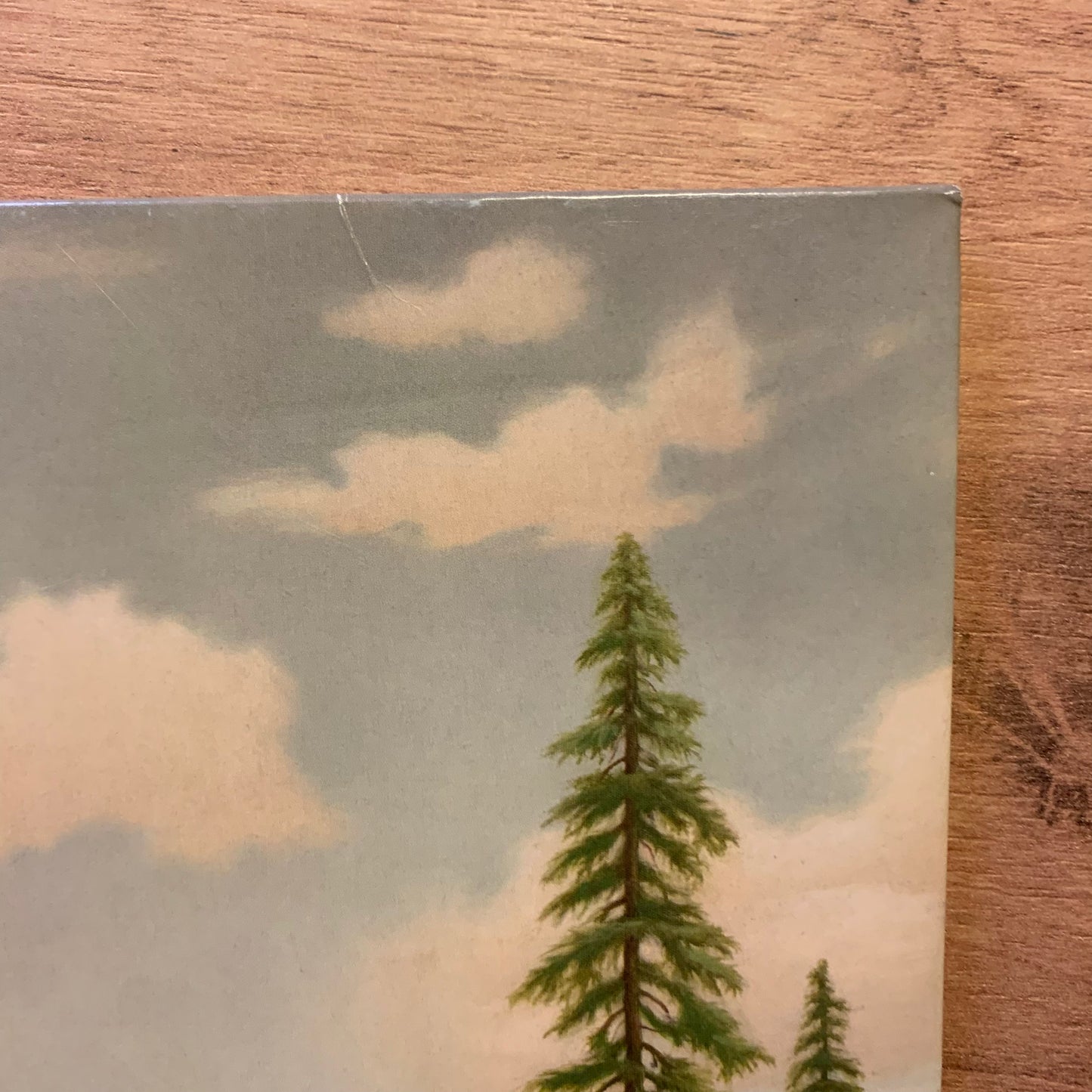 TYLER THE CREATOR - WOLF...RE EU 2023...EX/VG++