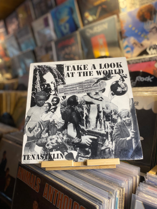 Tenastelin – Take A Look At The World /LP  (UK 1993 )