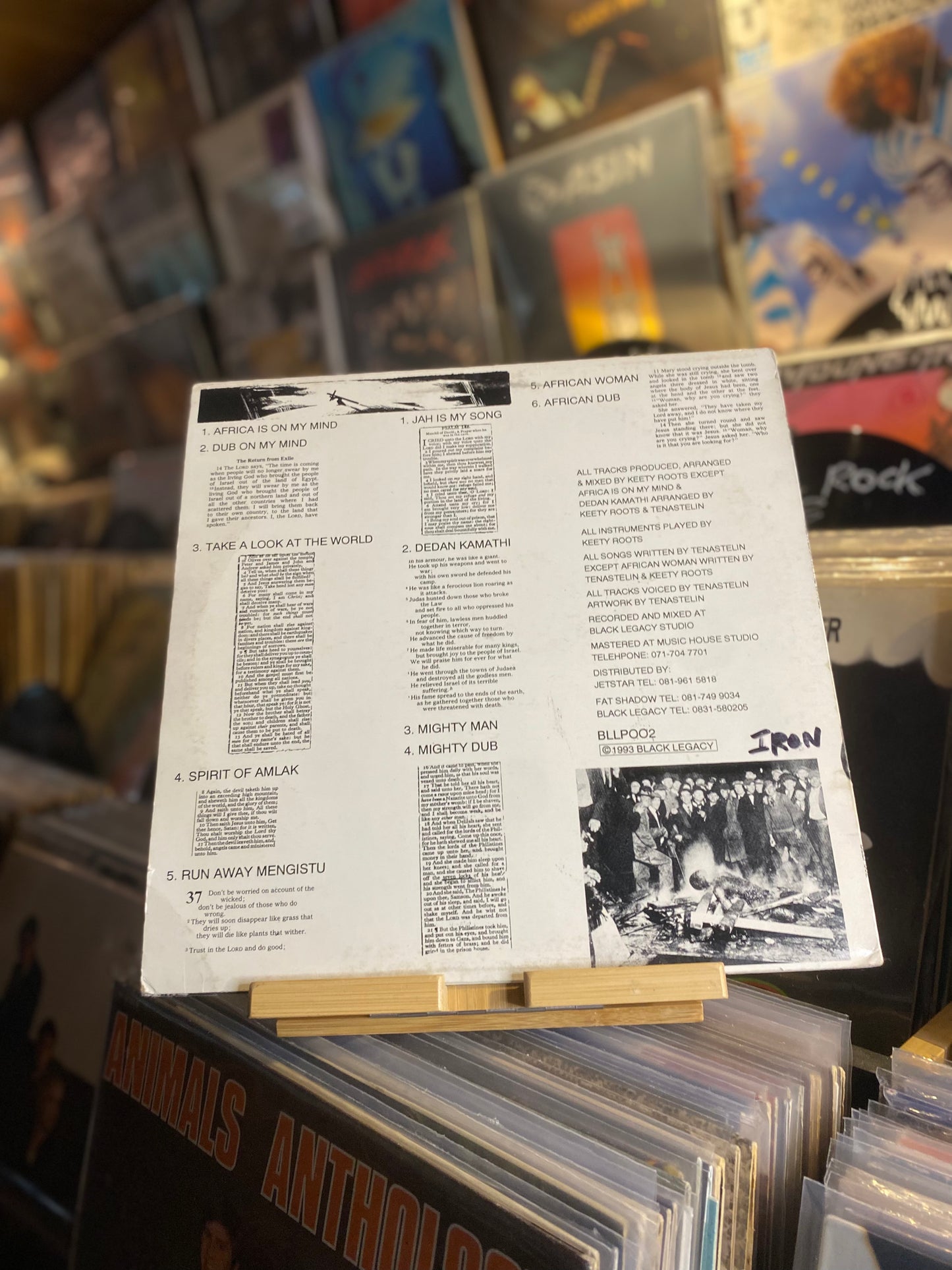 Tenastelin – Take A Look At The World /LP  (UK 1993 )
