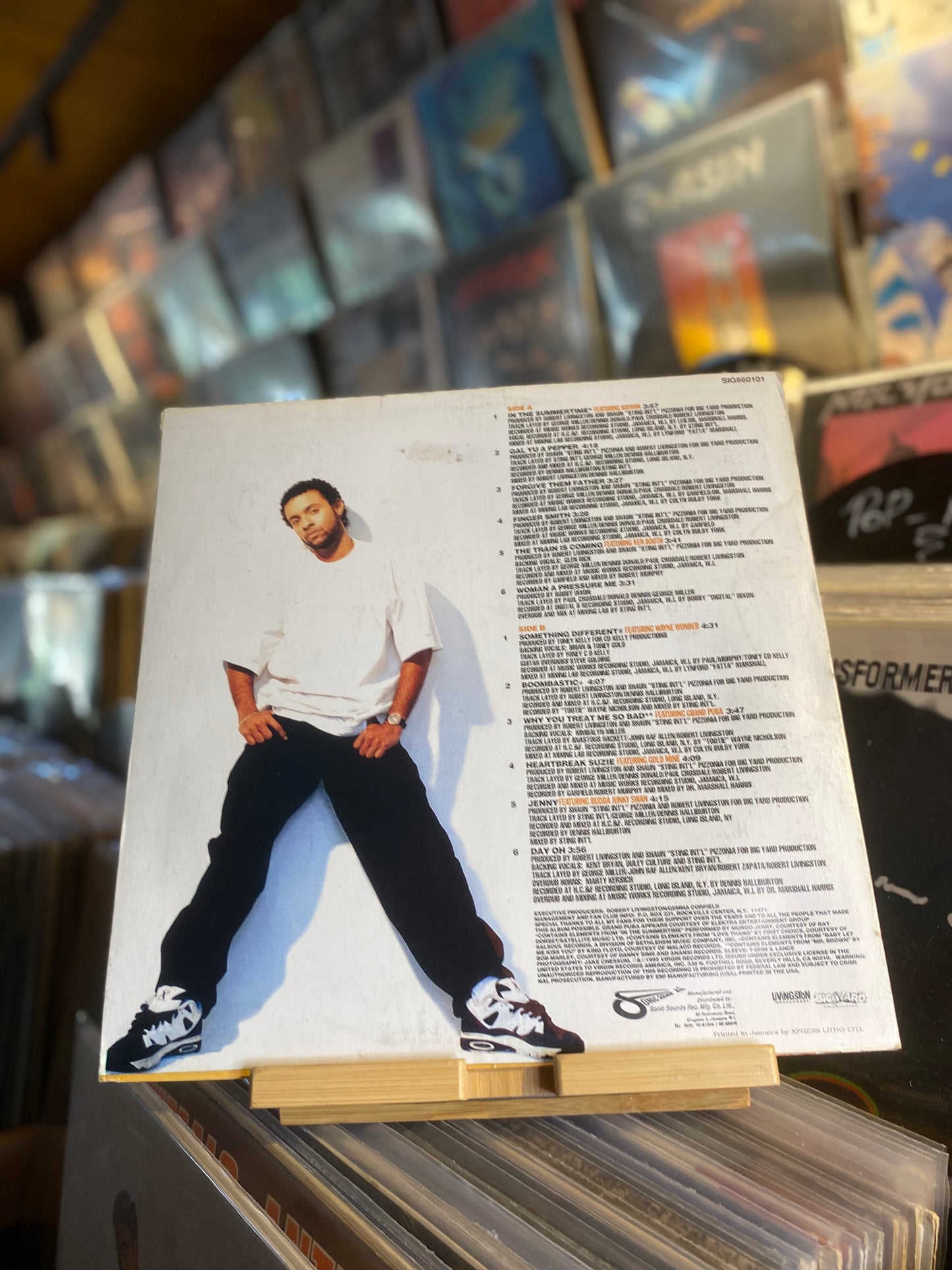 Shaggy - Boombastic / LP, Album (JAM 1995)