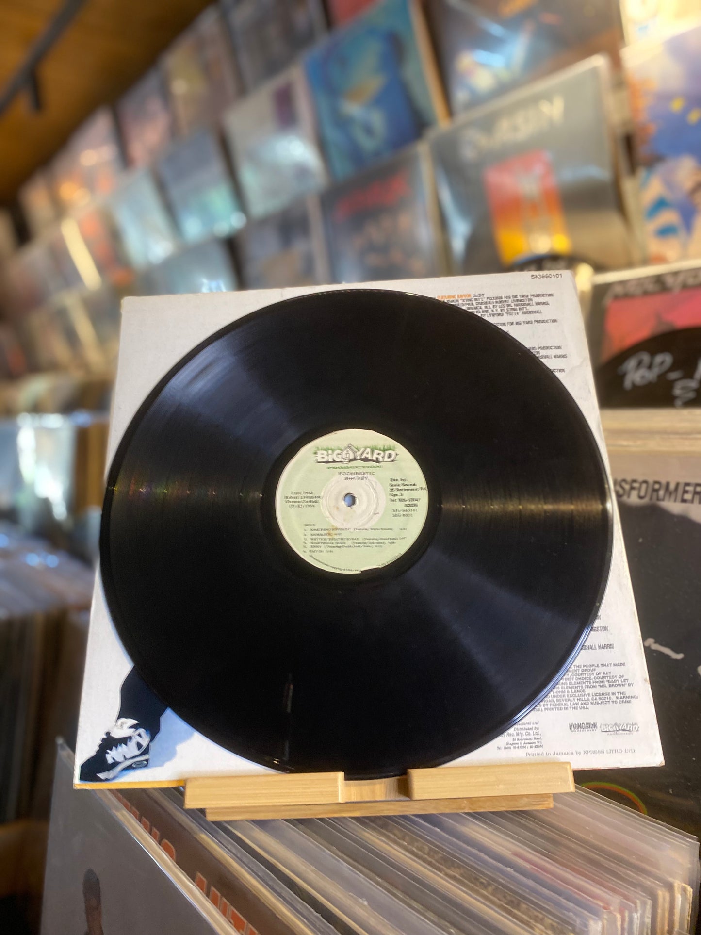 Shaggy - Boombastic / LP, Album (JAM 1995)