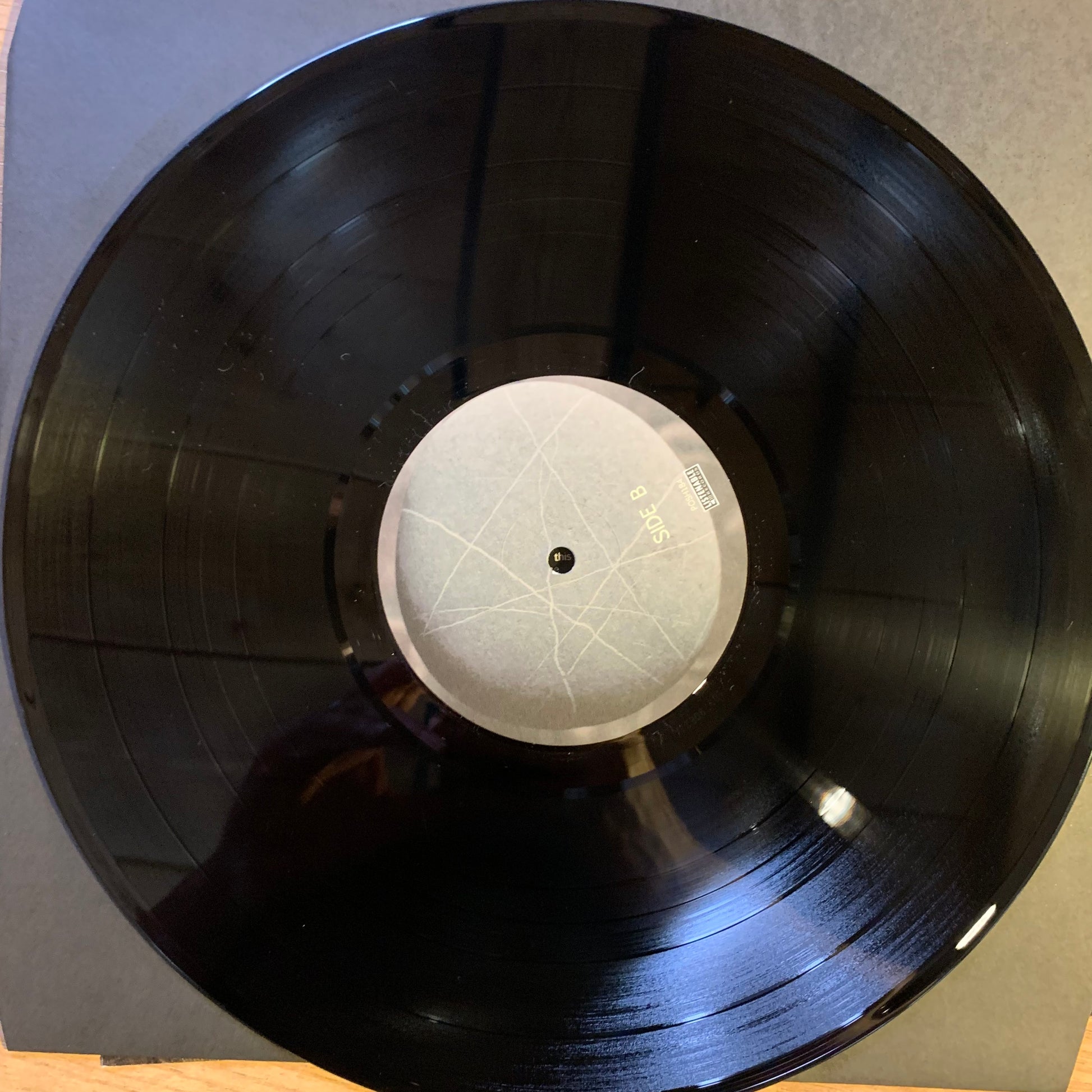 Disque vinyle Side B - Gojira The Link