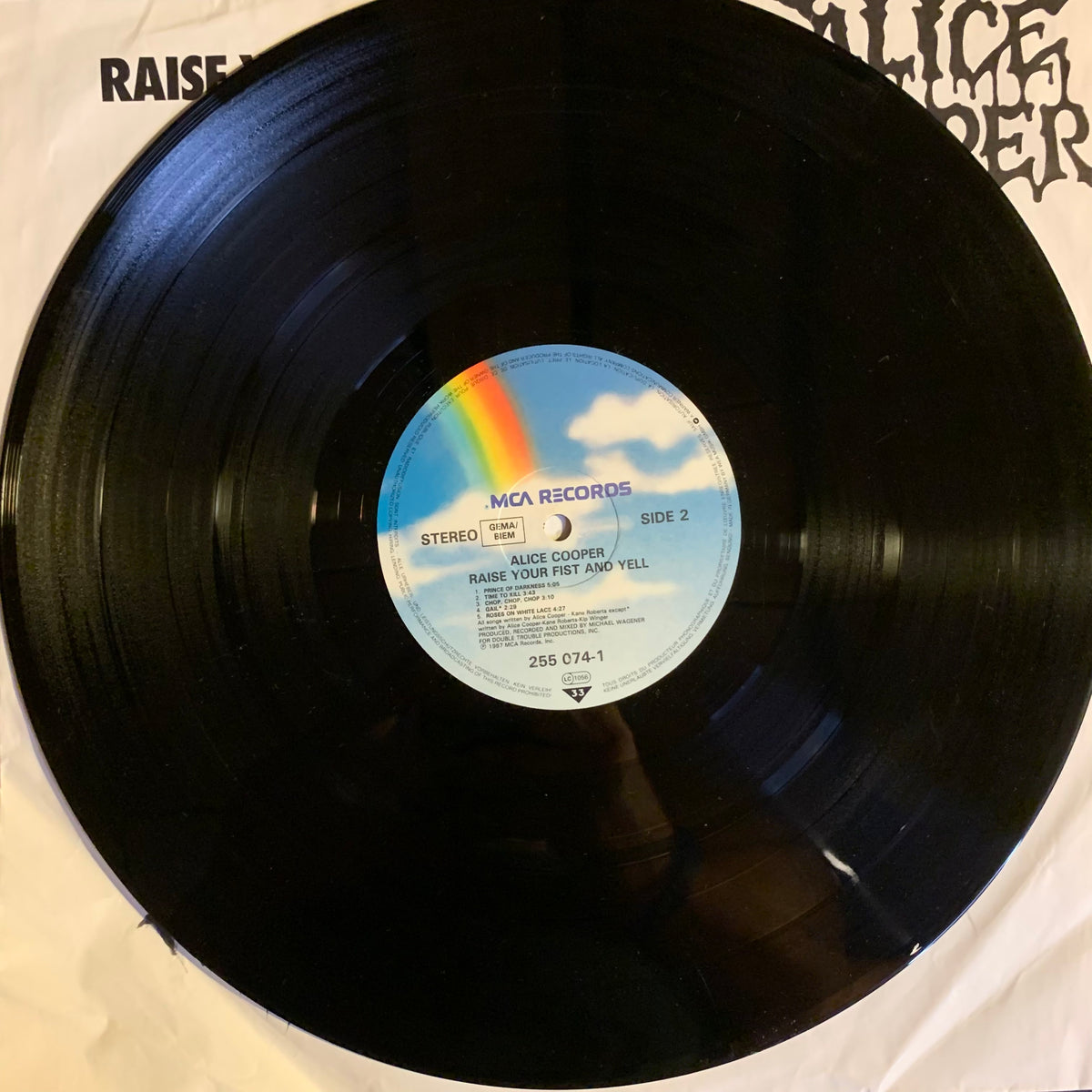 Raise Your Fist and Yell - disque MCA