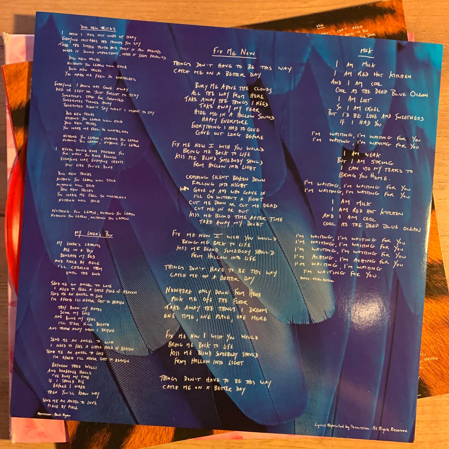 Disque vinyle rouge translucide Side C - Garbage Garbage