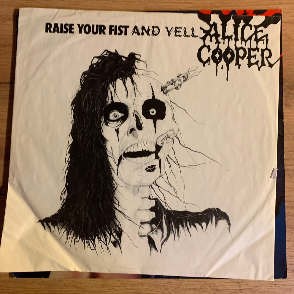 Raise Your Fist and Yell - sous-pochette illustrée