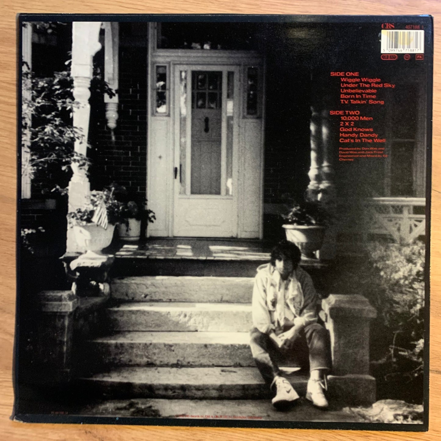 BOB DYLAN - UNDER THE RED SKY...OG NL 1991...VG/VG++