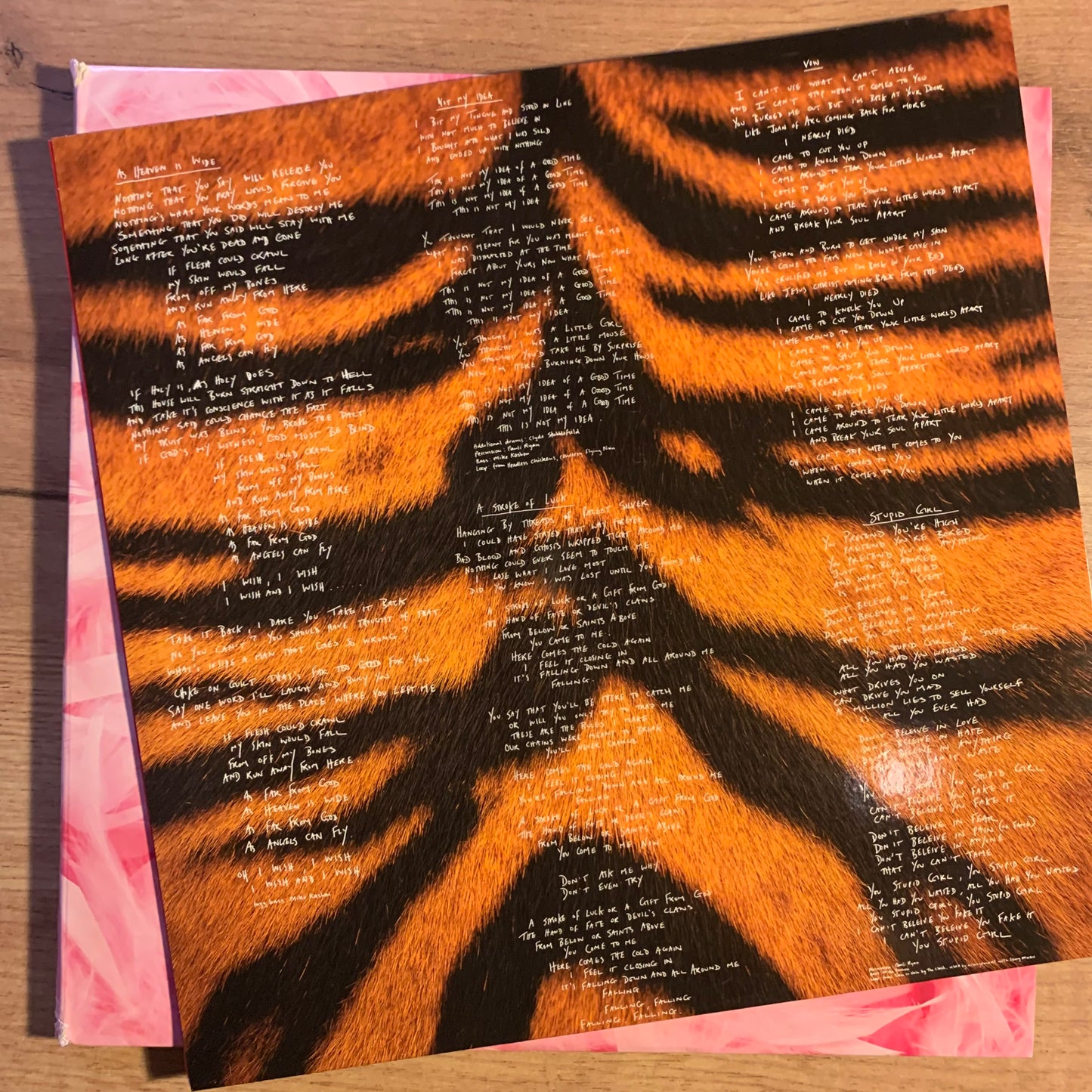 Inner sleeve paroles fond bleu Side C - Garbage Garbage