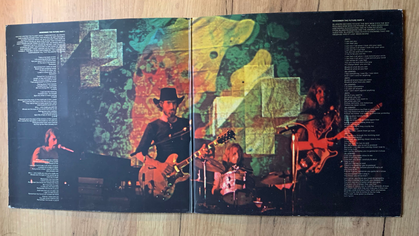 NEKTAR - REMEMBER THE FUTURE...OG GER 1973...VG/VG+